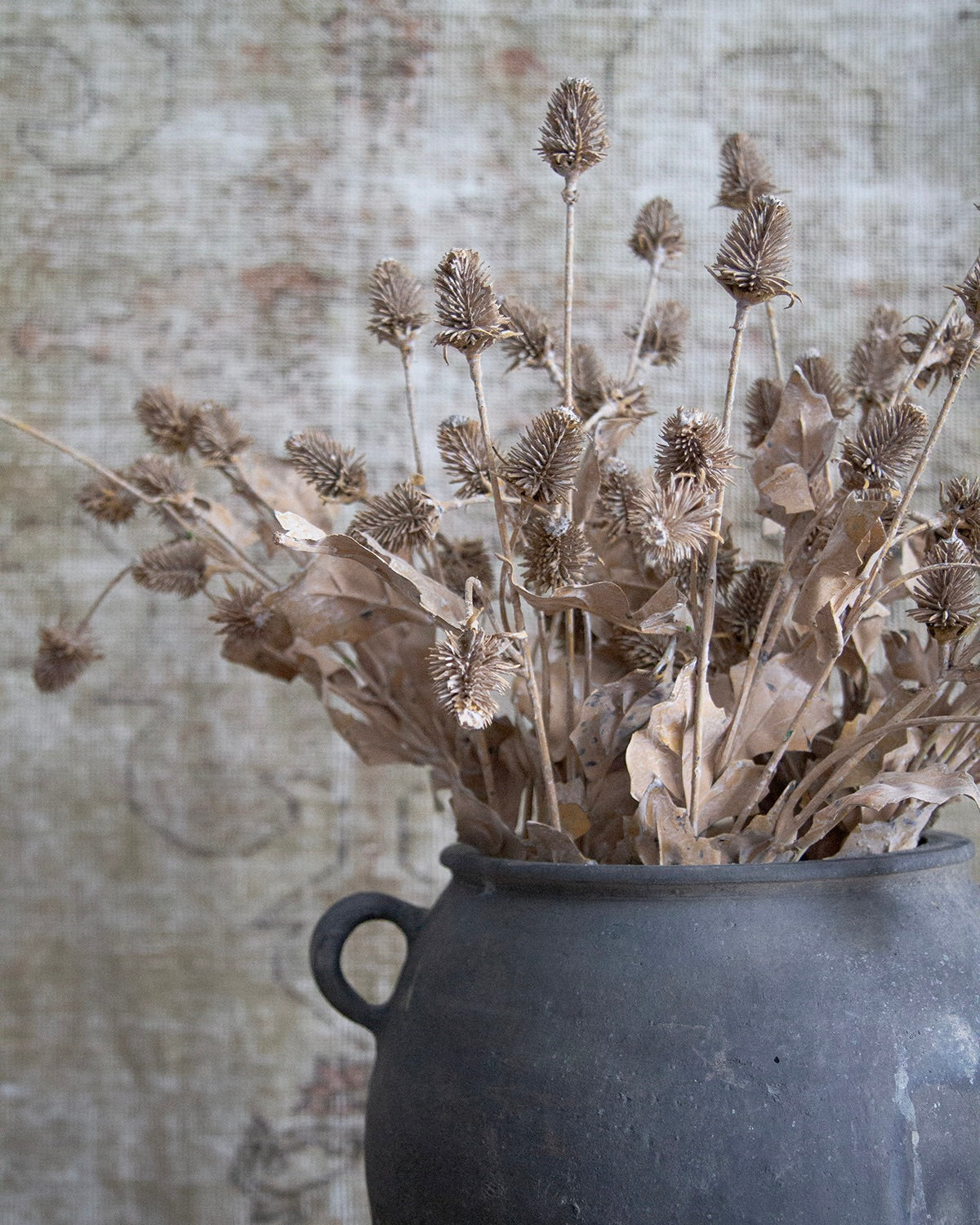 Faux Dried Thistle Spray