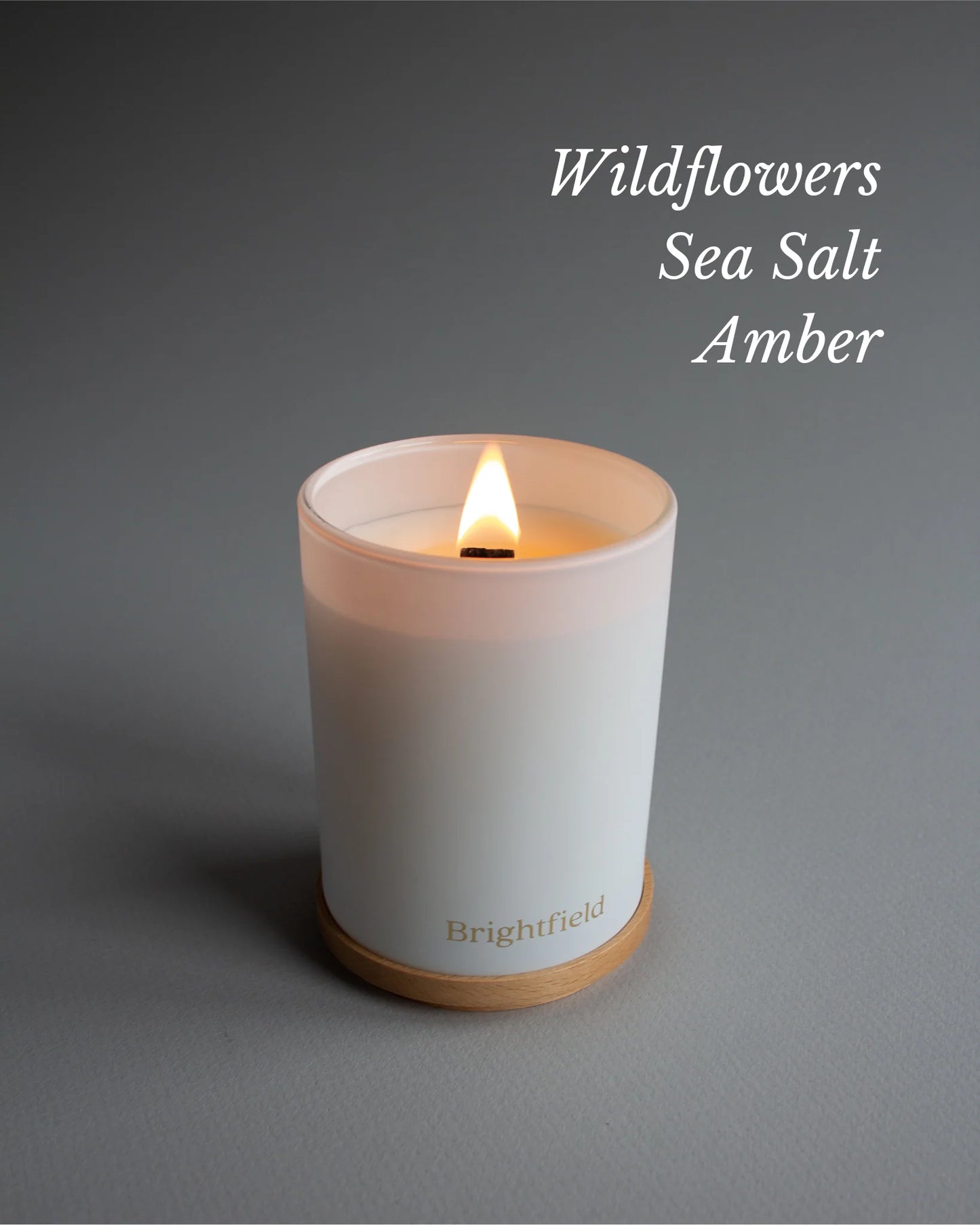 Brightfield Coconut Soy Candle
