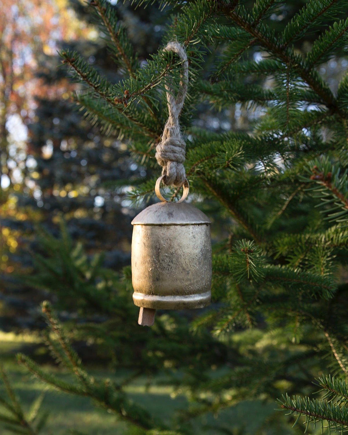 Rustic Bell