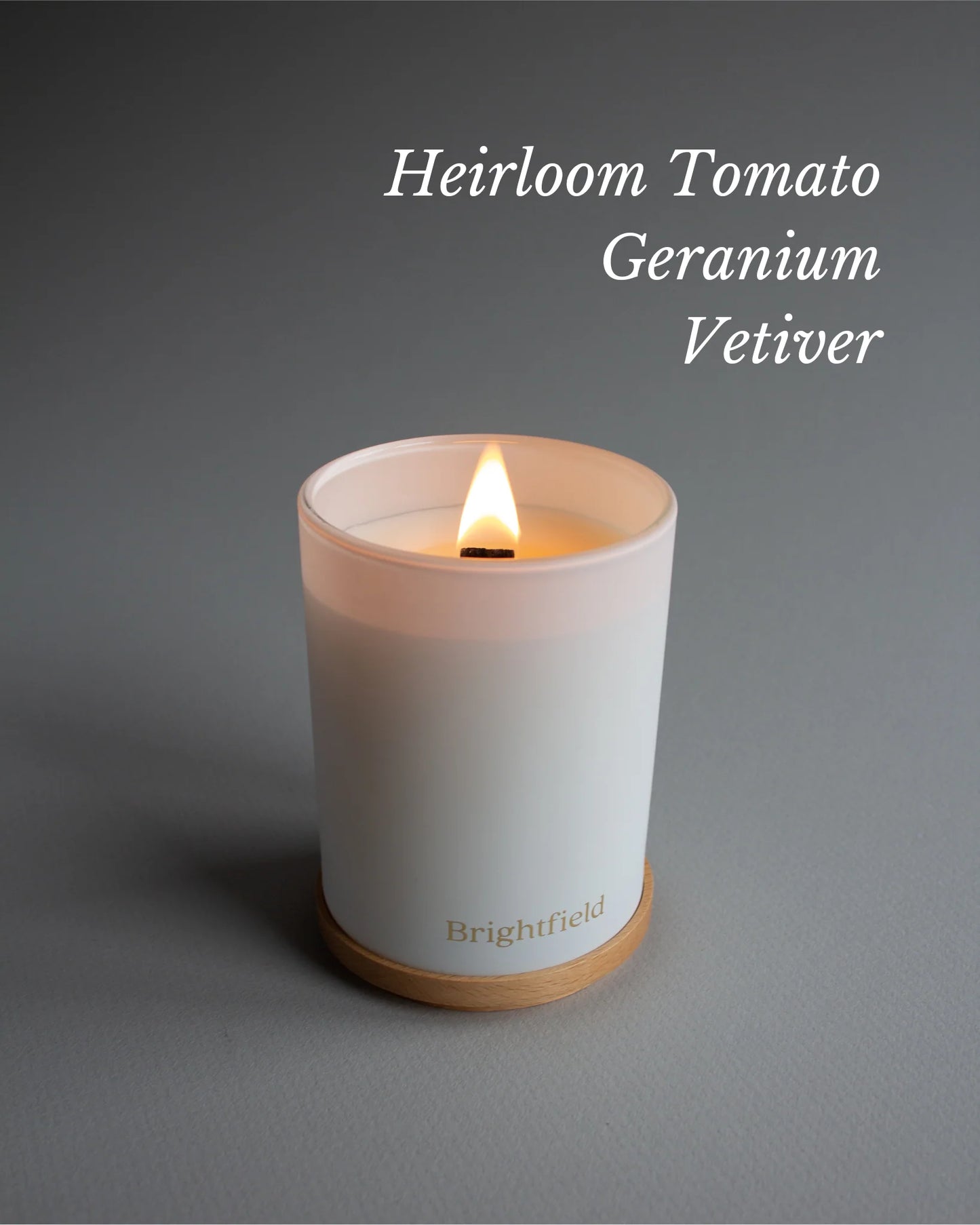 Brightfield Coconut Soy Candle