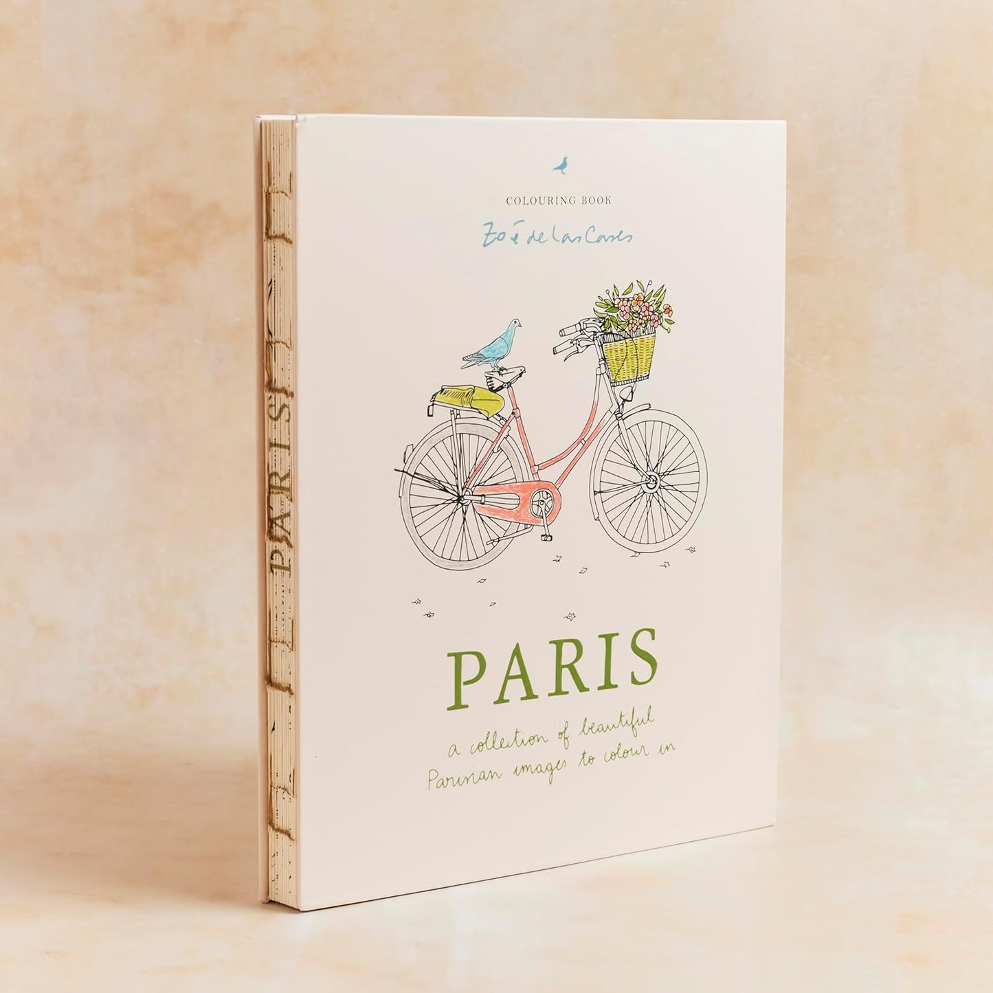 PARIS Colouring Book
