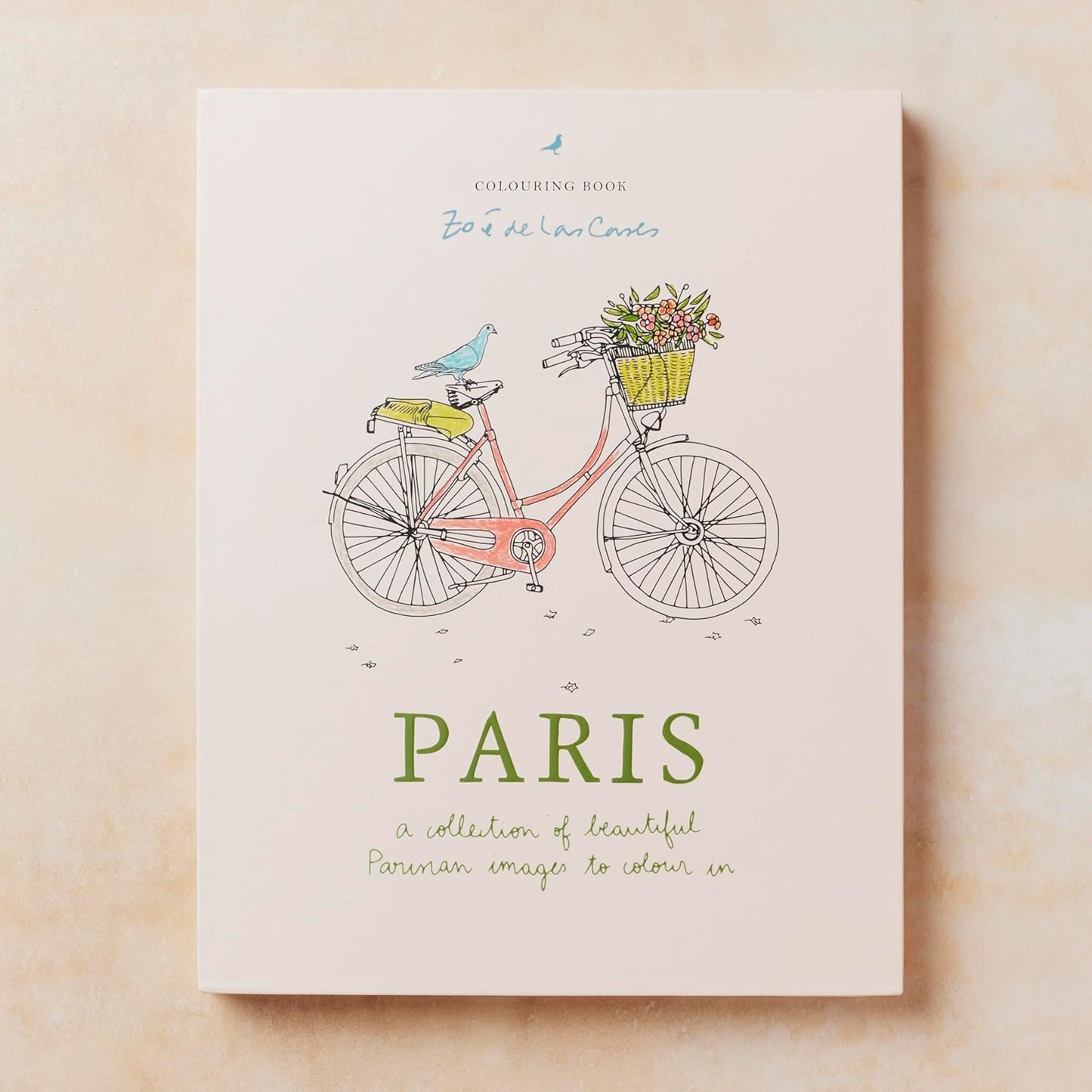 PARIS Colouring Book