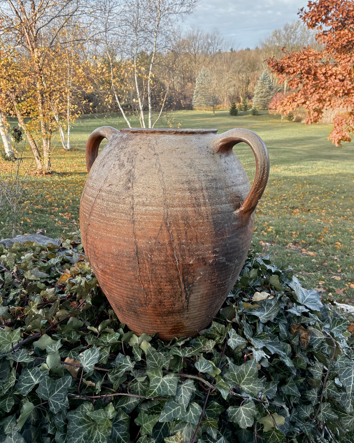 Vintage Two Handle Pot from France