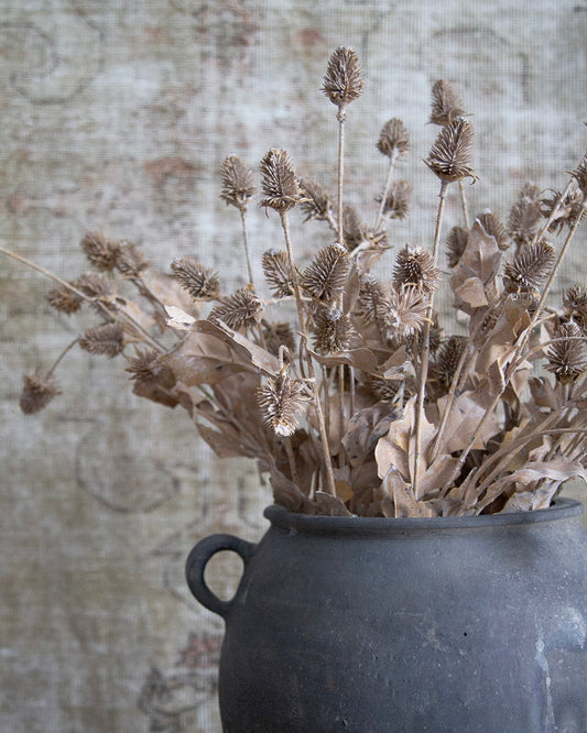 Faux Dried Thistle Spray