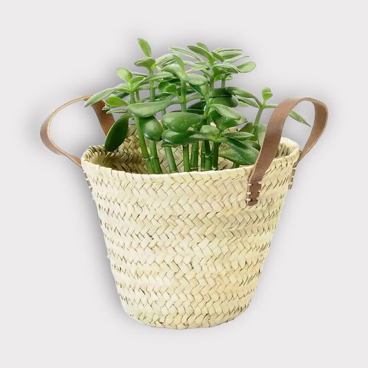 Small Decorative Basket